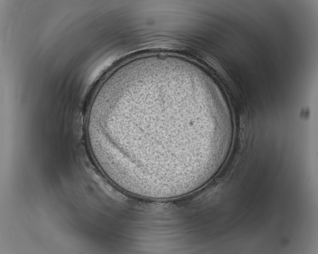 X0000114531067200911091105
