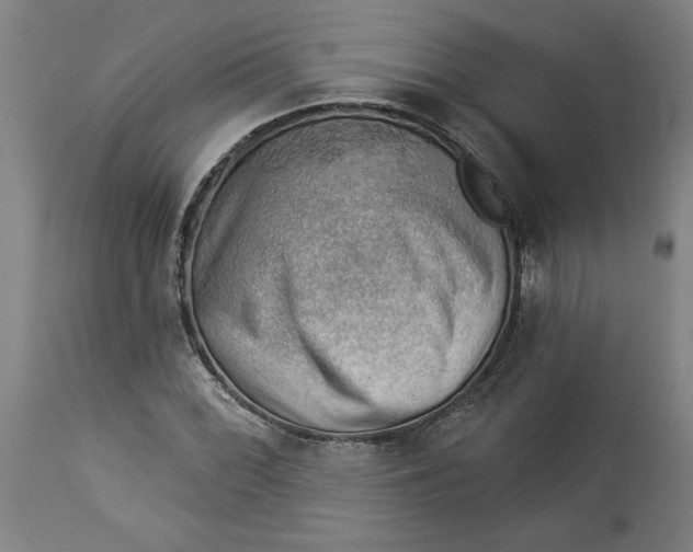 X0000114531068200911091105