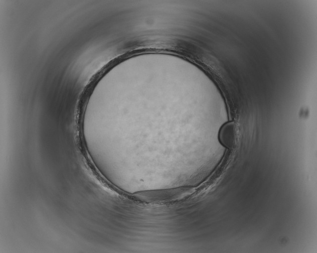 X0000114531071200911091105