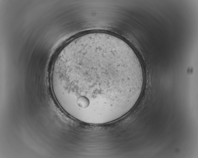 X0000114531072200911091105