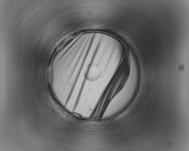 X0000114531073200911091105