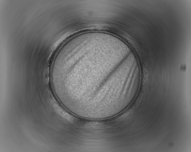 X0000114531075200911091105
