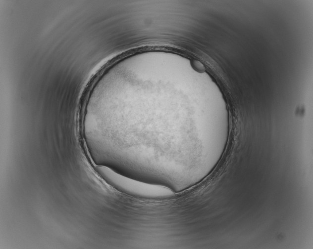 X0000114531076200911091105