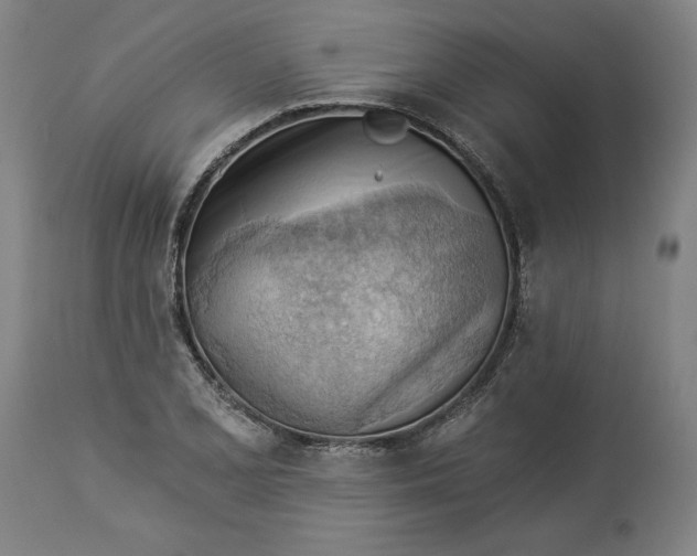 X0000114531077200911091105