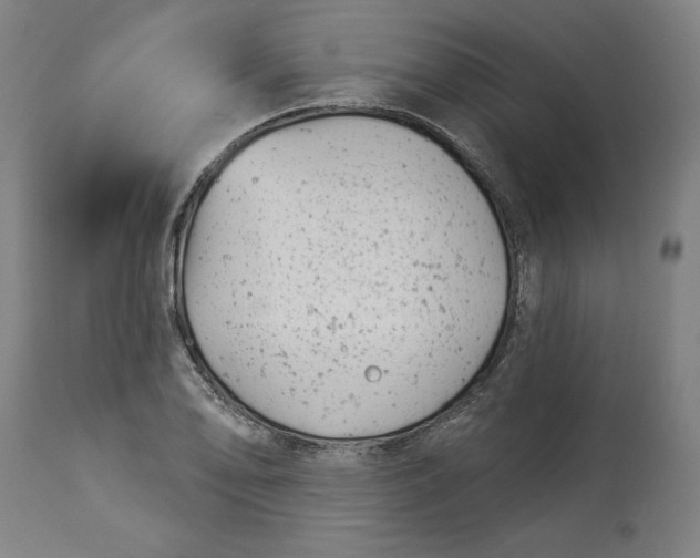 X0000114531078200911091105