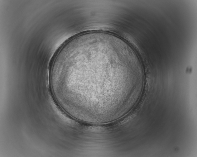 X0000114531079200911091105