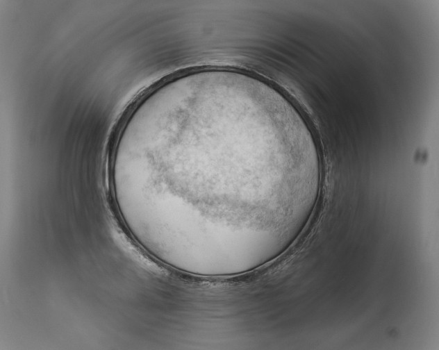 X0000114531080200911091105