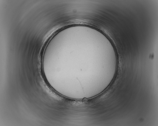 X0000114531082200911091105