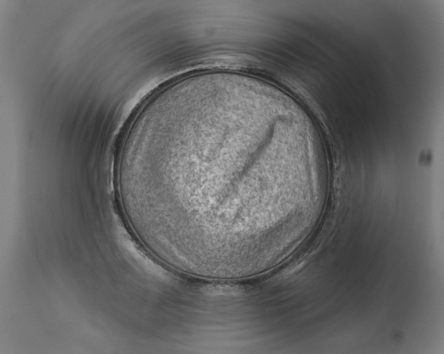 X0000114531083200911091105