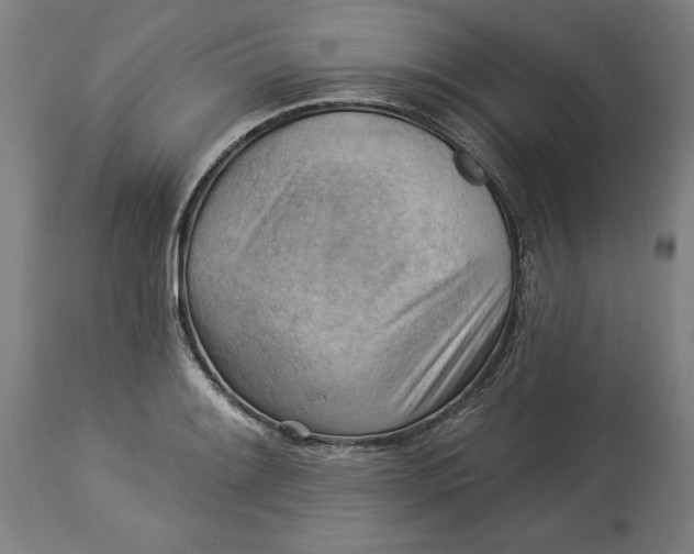 X0000114531084200911091105