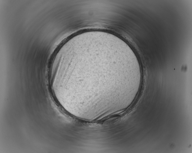 X0000114531085200911091105