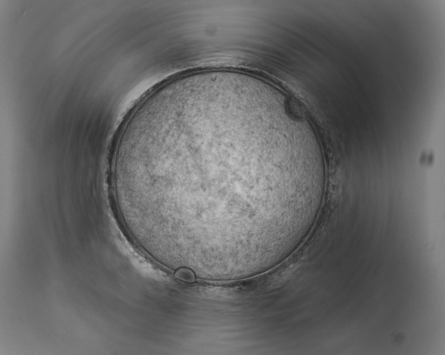 X0000114531086200911091105