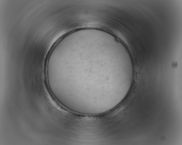 X0000114531087200911091105
