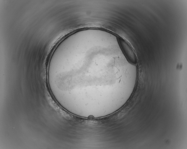 X0000114531088200911091105