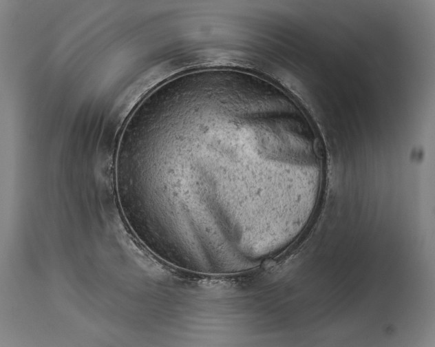X0000114531089200911091105