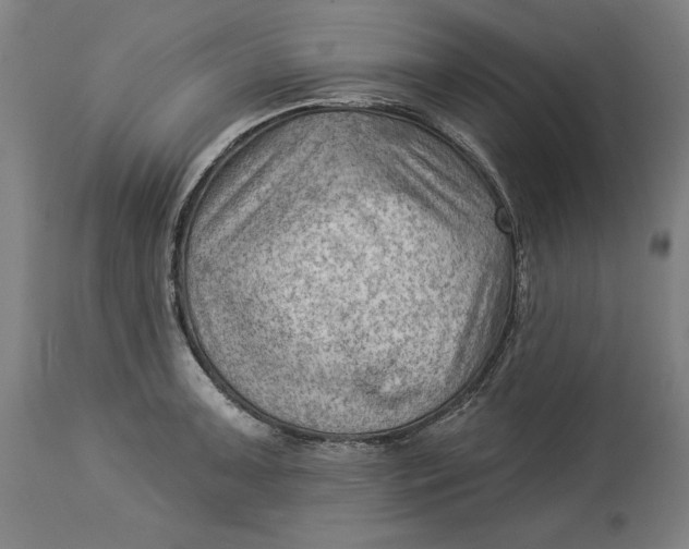 X0000114531091200911091105