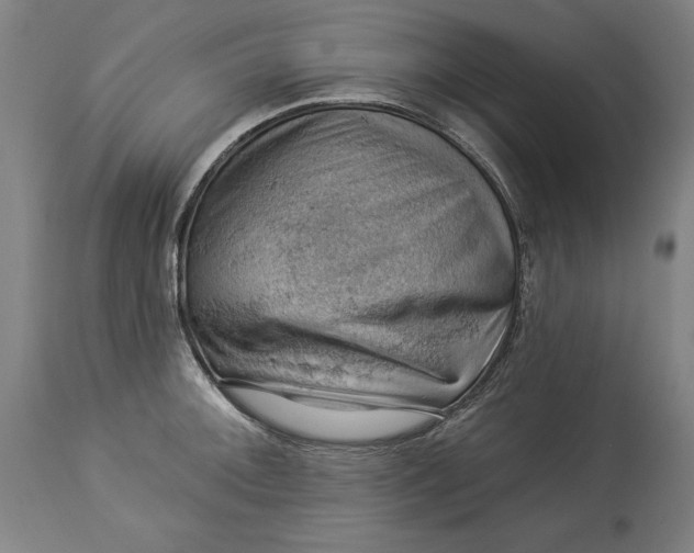 X0000114531092200911091105