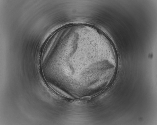 X0000114531093200911091105