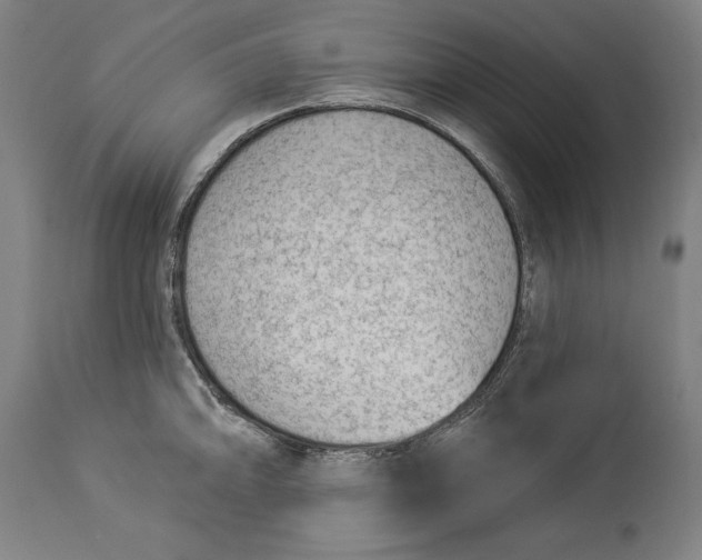 X0000114531094200911091105
