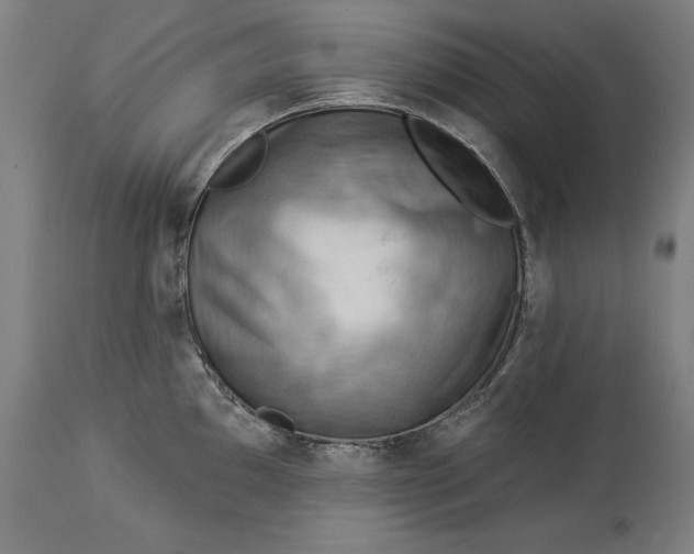 X0000114531097200911091105