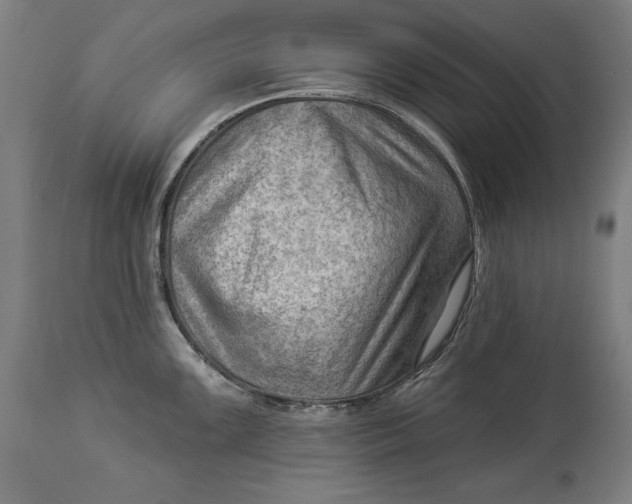 X0000114531099200911091105