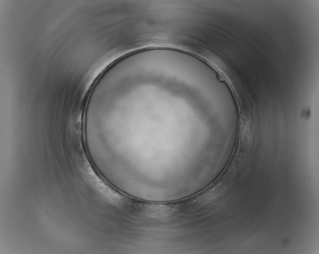 X0000114531100200911091105