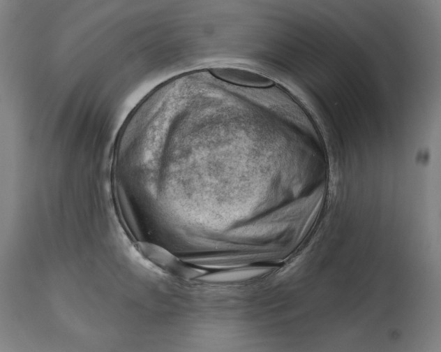 X0000114531102200911091105