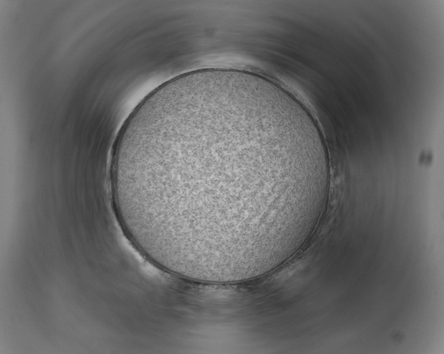 X0000114531103200911091105