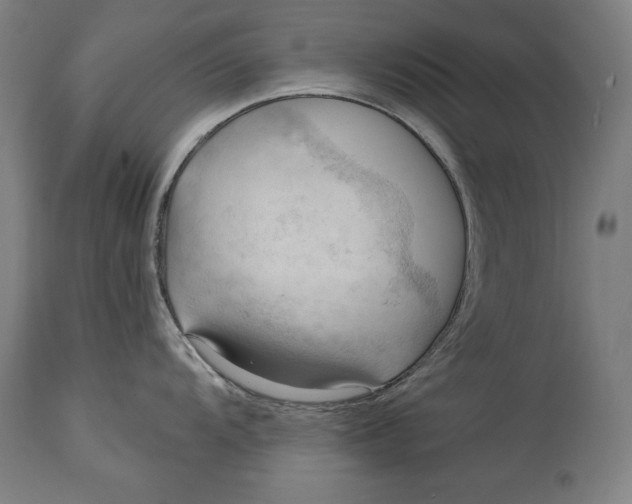 X0000114531104200911091105