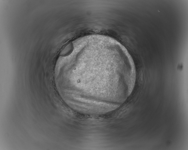 X0000114531105200911091104