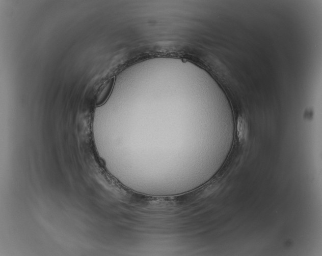 X0000114531107200911091104