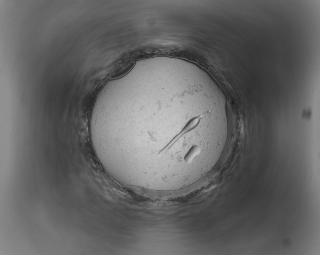X0000114531109200911091104