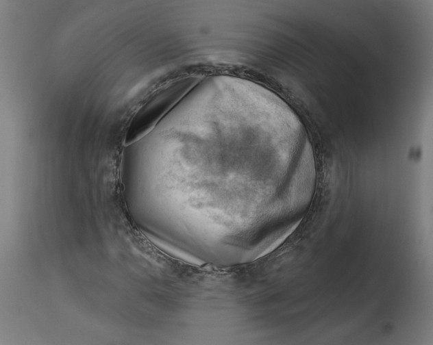 X0000114531110200911091104