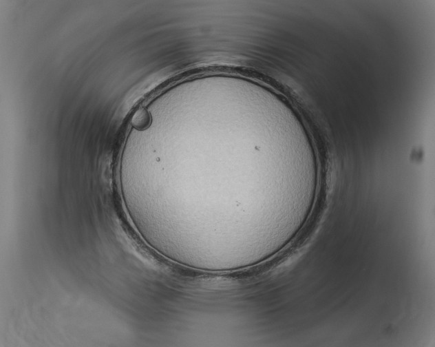 X0000114531113200911091104