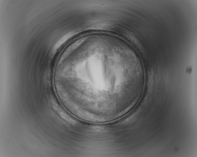X0000114531114200911091104