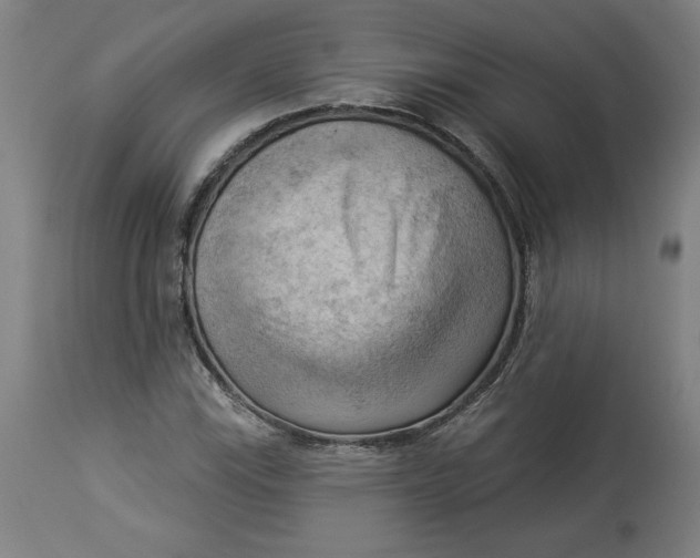 X0000114531115200911091104
