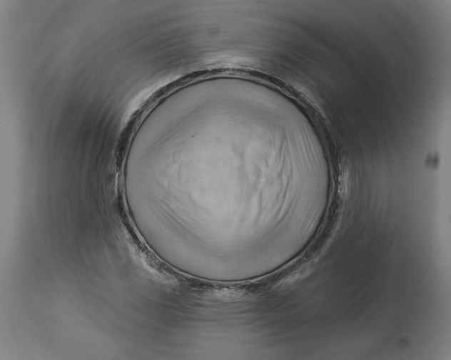 X0000114531117200911091104