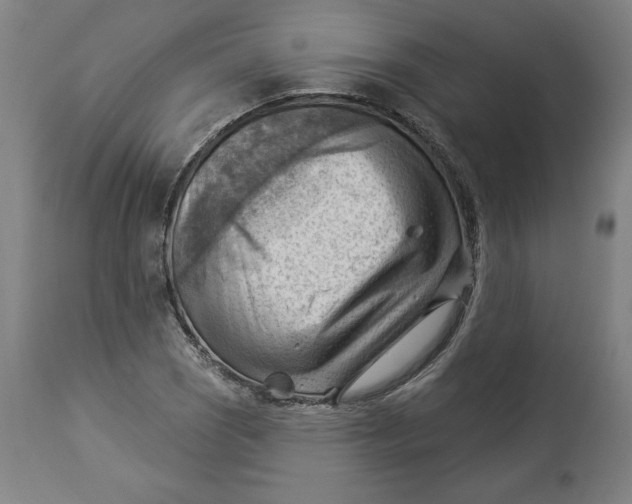 X0000114531121200911091104