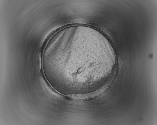 X0000114531123200911091104