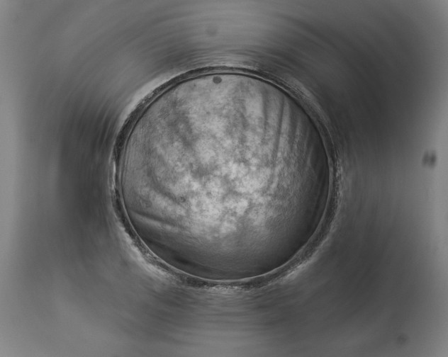 X0000114531125200911091104