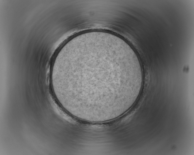 X0000114531126200911091104