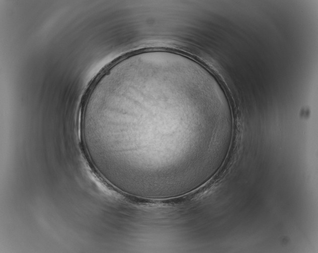 X0000114531127200911091104