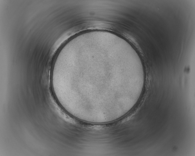X0000114531130200911091105