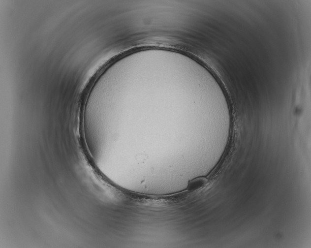 X0000114531131200911091105