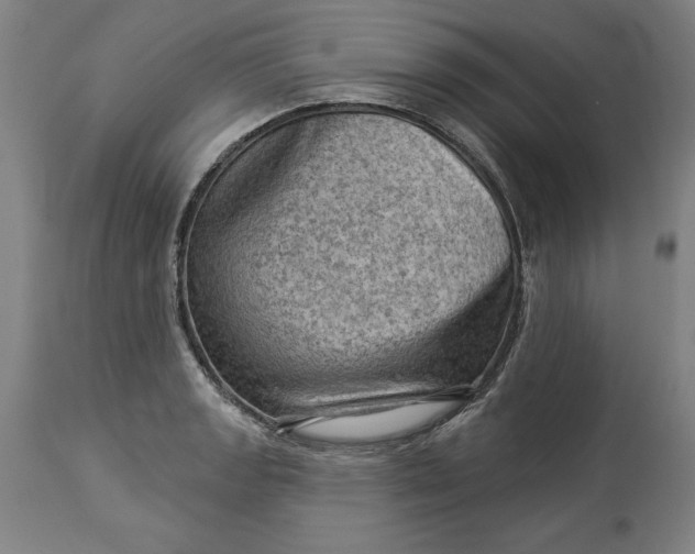 X0000114531133200911091105