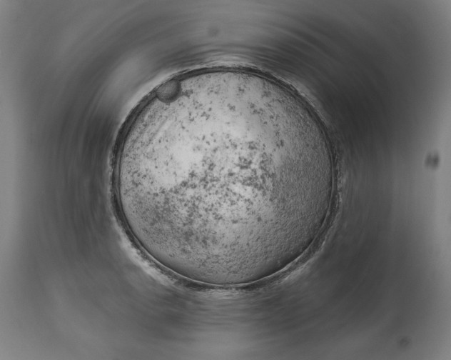 X0000114531134200911091105