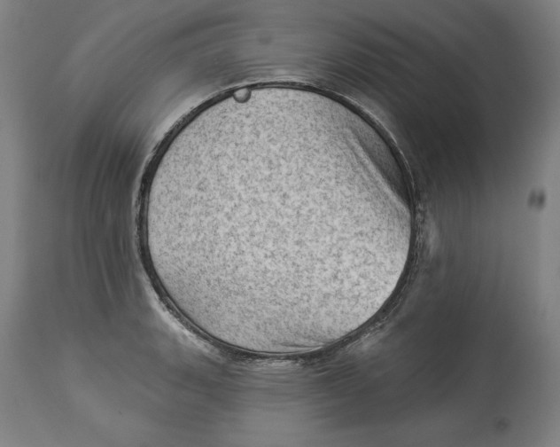 X0000114531135200911091105