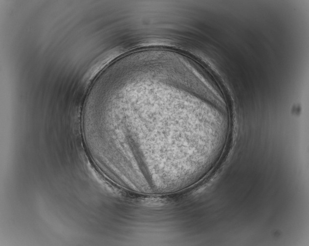 X0000114531137200911091105