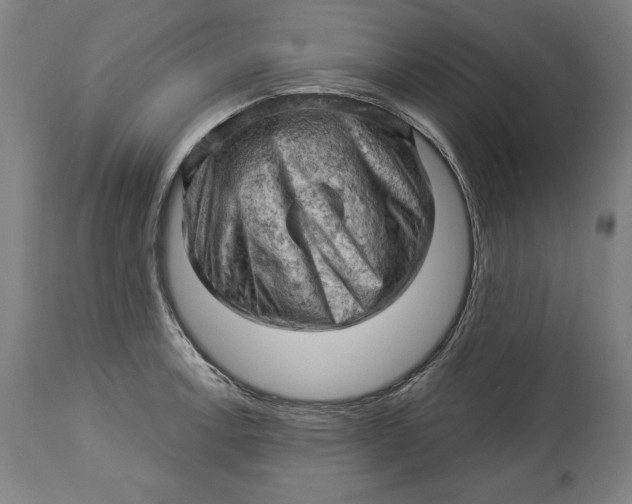 X0000114531138200911091105