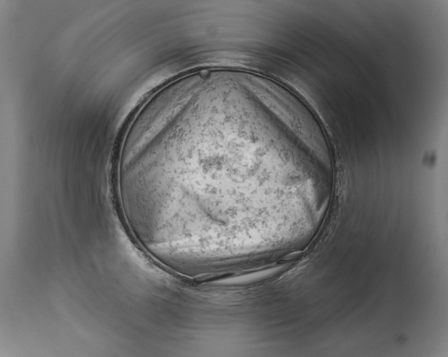 X0000114531139200911091105